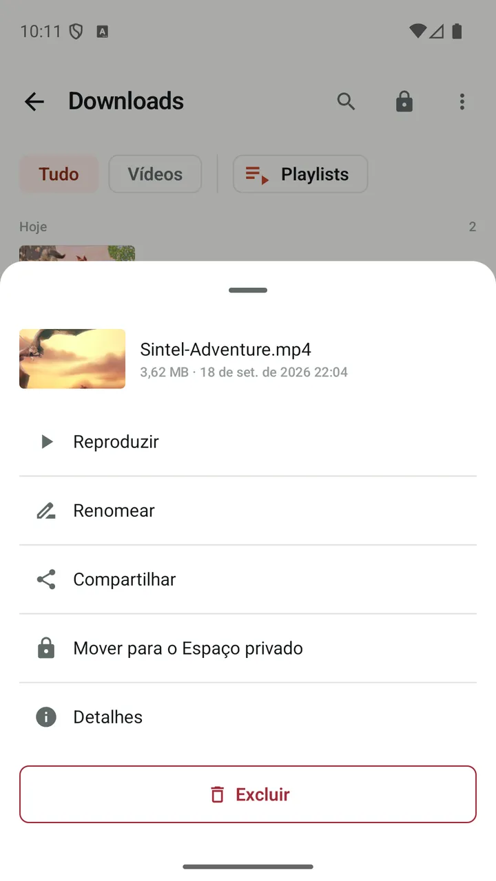 Ações do Lynvio para um vídeo baixado, incluindo “Mover para o Espaço privado”