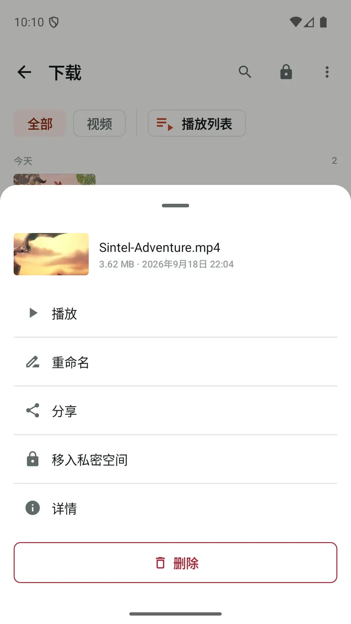 Lynvio 中已下载视频的操作菜单，包括“移入私密空间”